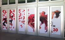 Wall & Window Murals