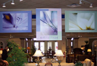 Display Hardware