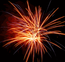 http://cdn.firespring.com/images/9/4/0/0/a/9a809309-4420-0721-0177-a53033997462.gif