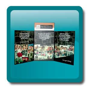 Folding Displays
