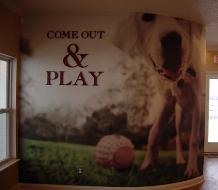 Digital Printed- Displays
