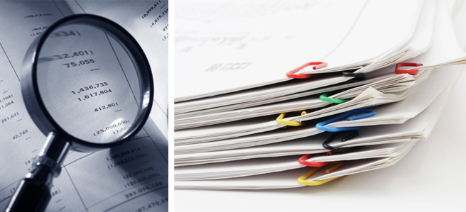 Reports & Statistics