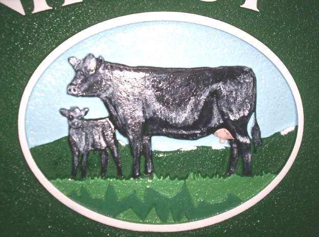 O24021