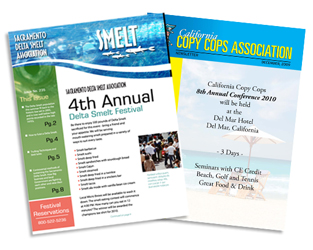 Newsletters