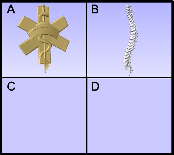 B11291 - CarvedArt for Nurse and Chiropractor