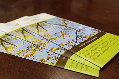 Brochures