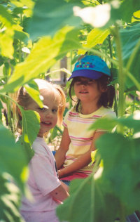 Summer Nature Camps