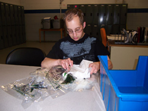 Program Services