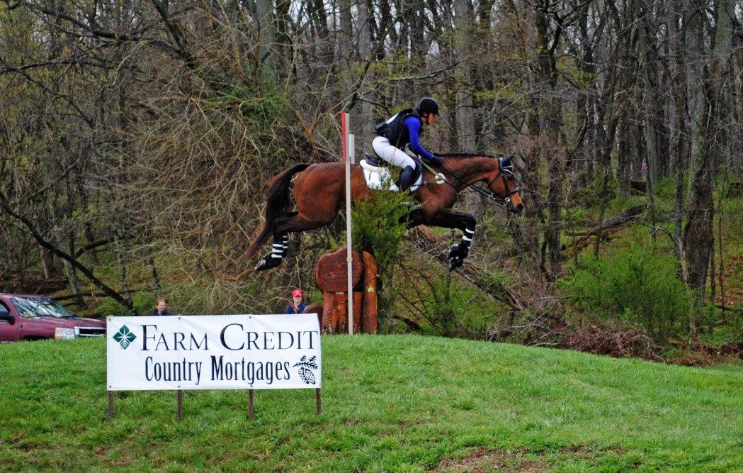 Morven Park Home of Westmoreland Davis Leesburg, VA