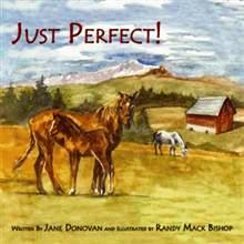 Book - Just Perfect by Jane Donovan