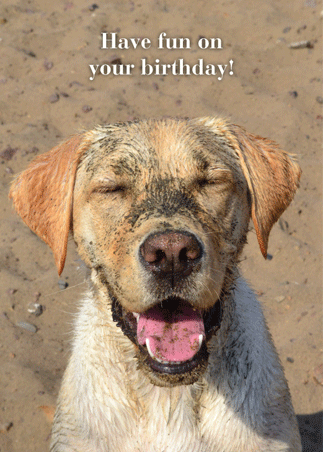 Birthday