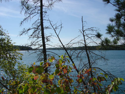 Lake Management Training Available to Otter Tail County Lake Associations