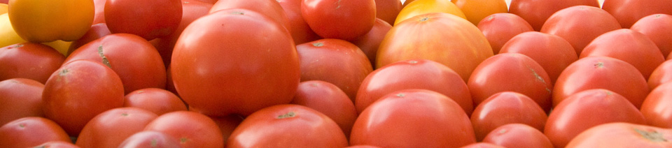 Tomato Background