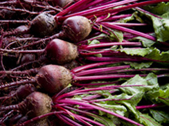 Eat Your Veggies