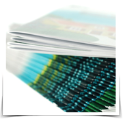 Catalogs