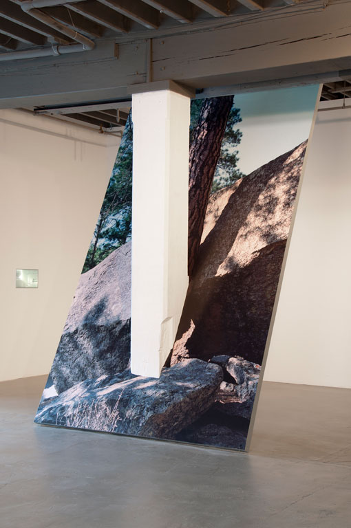 Letha Wilson, Ghost of a Tree (2011)