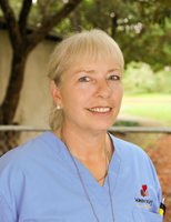 Lynn Heth