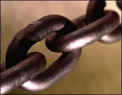 Related Links