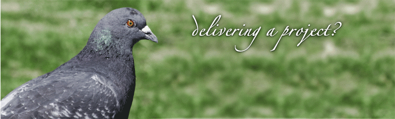 http://cdn.firespring.com/images/a/0/4/2/2/af5337b0-0966-4dd7-28e5-2839576adc80.gif