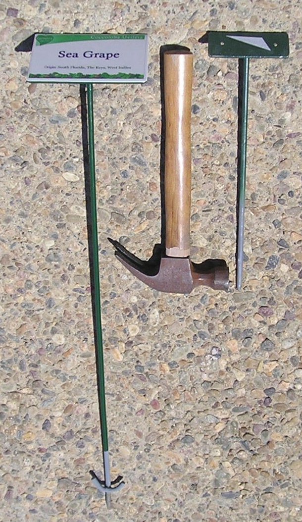 LG971