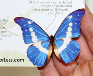 Die Cutting 