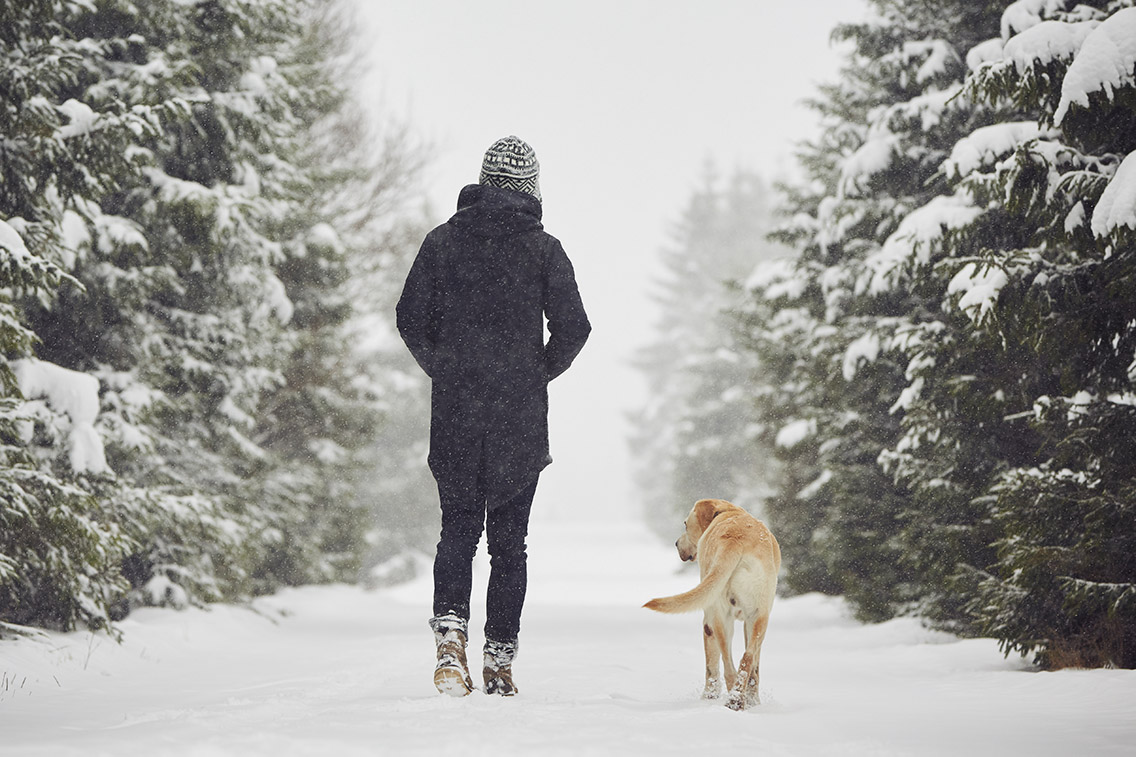 Warming up to winter exercise