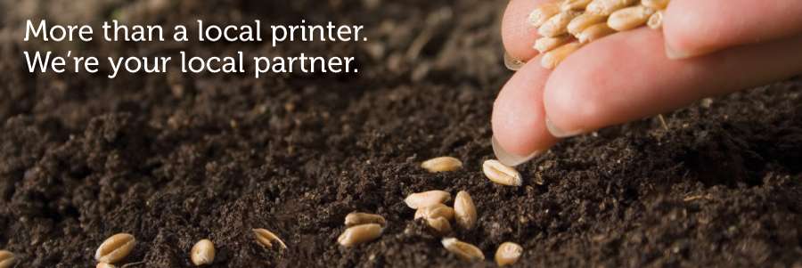 Plant the Seeds