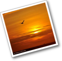 Minuteman Press Galveston Marketing Ideas
