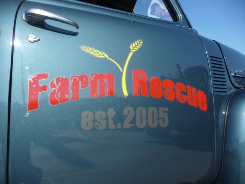 Decal