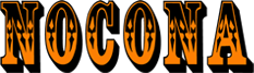 Nocona Economic Development Corporations