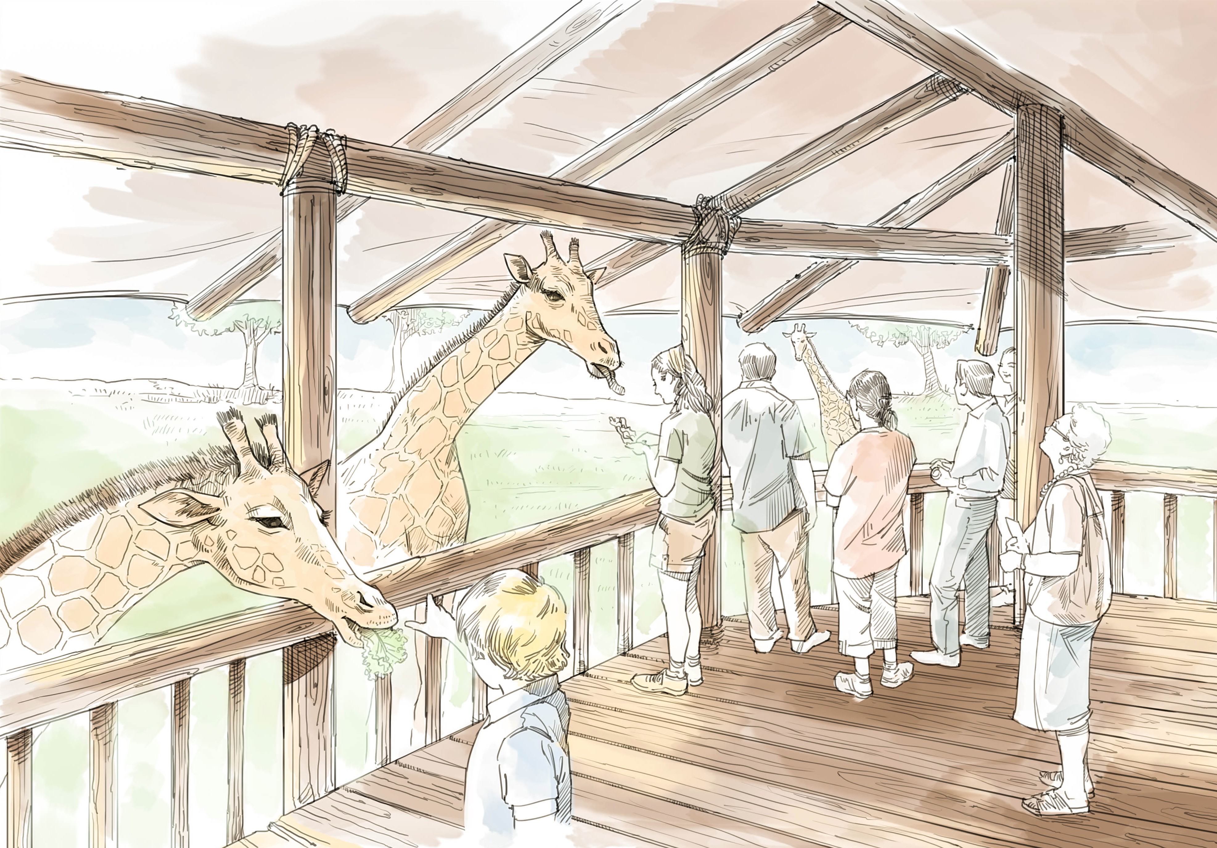 Lincoln Children's Zoo : Expansion : Giraffes