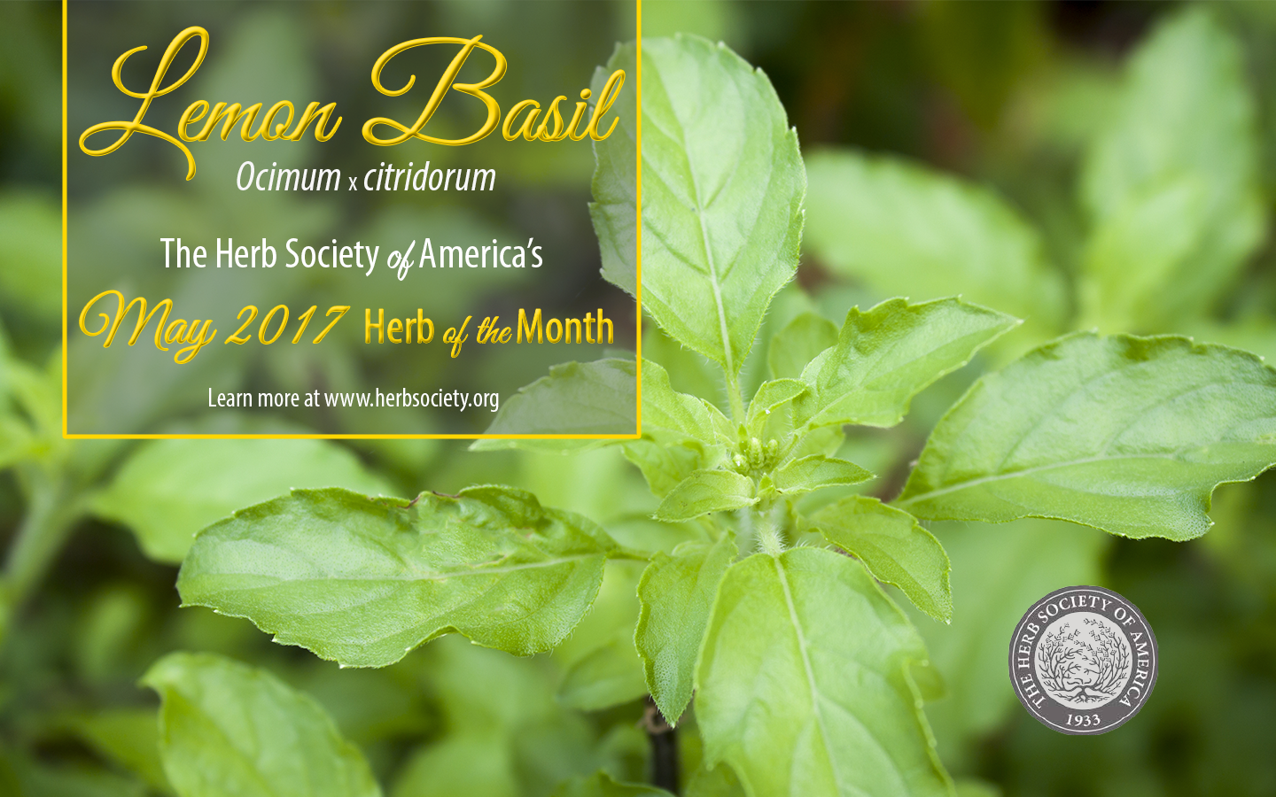 Herb Society of America Home