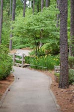 path