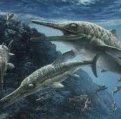 AN ICHTHYOSAURUS (REPTILIA, ICHTHYOSAURIA) WITH GASTRIC CONTENTS FROM CHARMOUTH, ENGLAND: FIRST REPORT OF THE GENUS FROM THE PLIENSBACHIAN