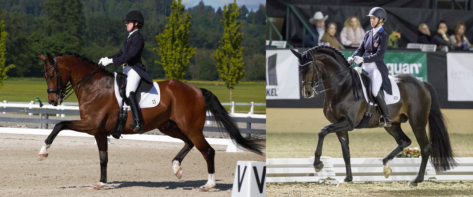 Alyssa Pitts and Sabine Schut Kery Awarded $25,000 Carol Lavell Advanced Dressage Prizes from TDF