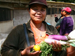 Meet a Local Grower