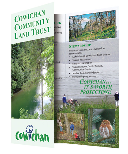 Brochures