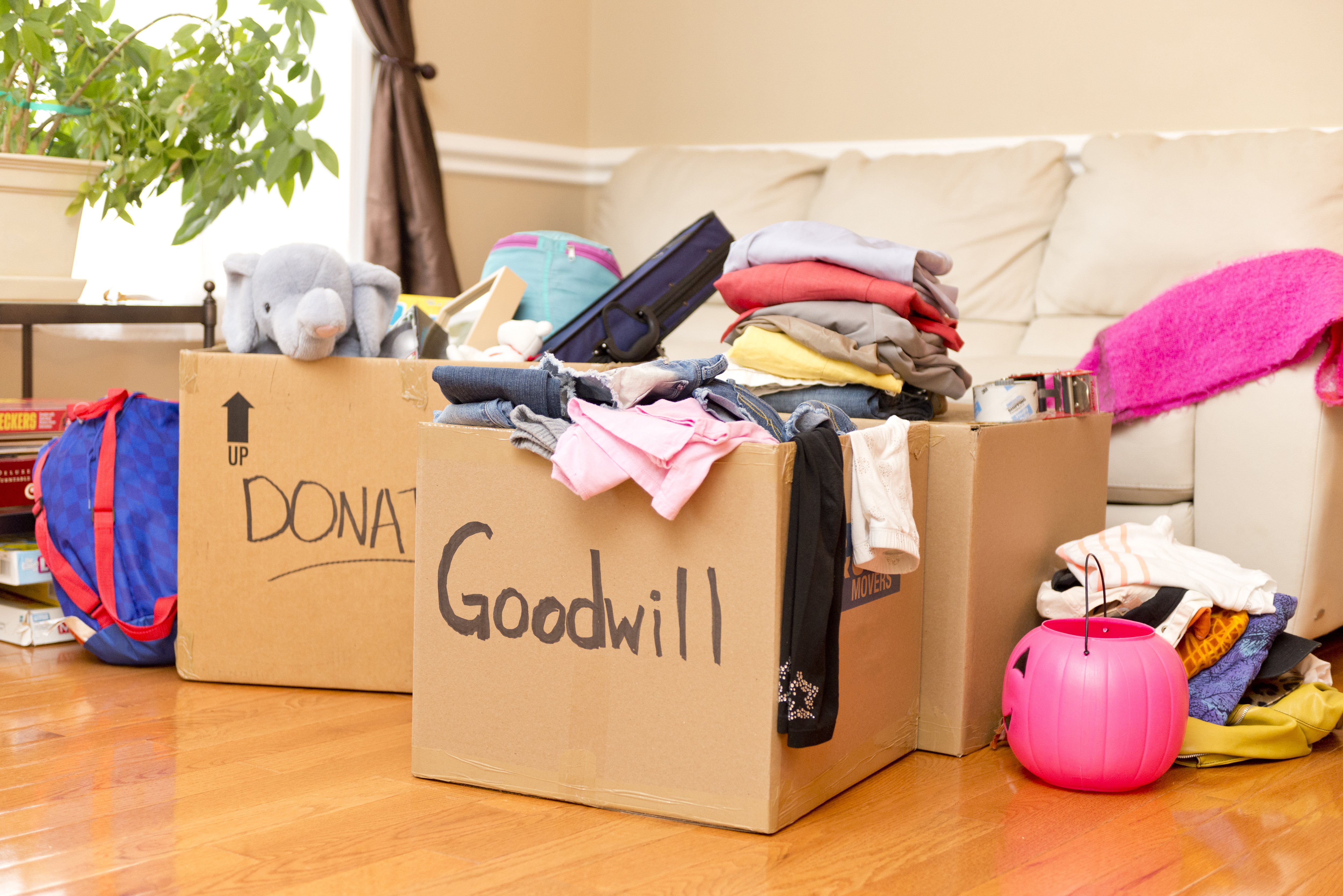 Spring Into Action with Goodwill!