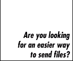 File Transfer System