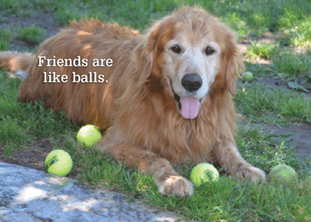 Friendship