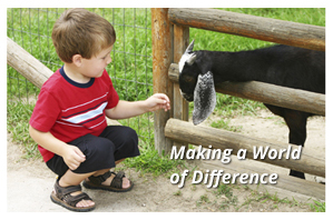 Kid Feeding a Goat