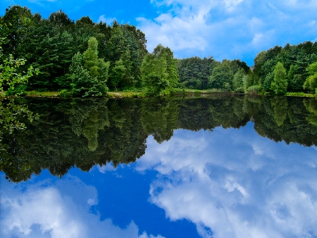 Photoshop Reflection