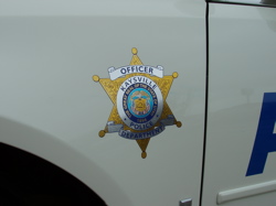 Emergency Vehicle 4