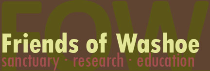 Friends of Washoe