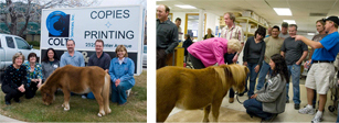 [image]