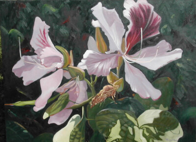 Gray, Margaret