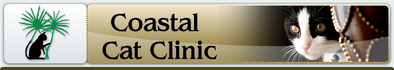 Coastal Cat Clinic