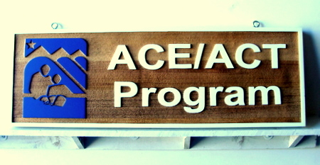 SA28478 - Wooden Sandblasted College Testing Business Sign