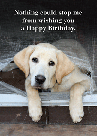 Birthday