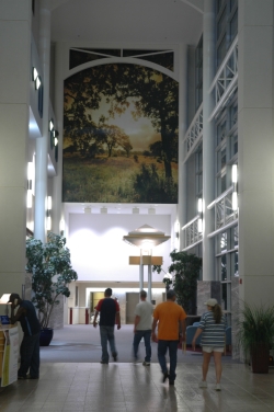 Vinyl Graphics for Lufkin Hospital Wall